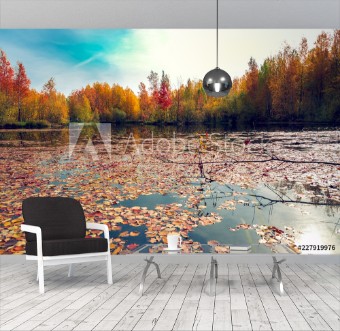Picture of Autumn leaves on the surface of the reservoir